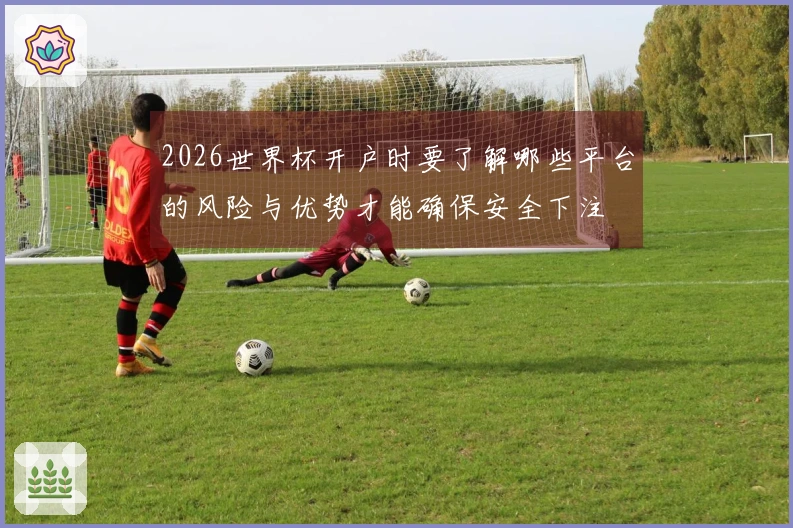 2026世界杯开户时要了解哪些平台的风险与优势才能确保安全下注