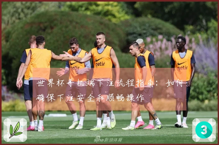 世界杯手机端下注流程指南：如何确保下注安全和顺畅操作